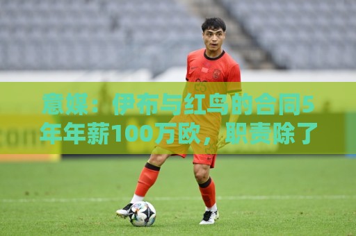 意媒：伊布与红鸟的合同5年年薪100万欧，职责除了竞技还涉及商业