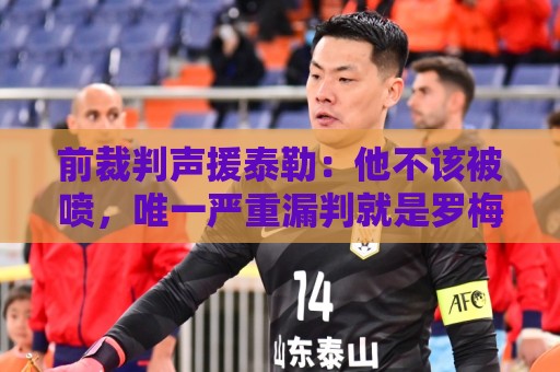 前裁判声援泰勒：他不该被喷，唯一严重漏判就是罗梅罗拉库库头发