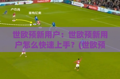 世欧预新用户：世欧预新用户怎么快速上手？(世欧预新用户)从赛程到互动节奏的实用参考🍘网上热门博球网攻略排名回放无广告全场录像公司