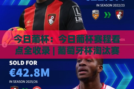 今日葡杯：今日葡杯赛程看点全收录 | 葡萄牙杯淘汰赛阶段谁主沉浮？今日葡杯观赛前必读🍘今日最新外围体球网网址球盘平台赛后回放JRS大小球