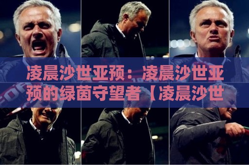 凌晨沙世亚预:凌晨沙世亚预的绿茵守望者【凌晨沙世亚预】那些深夜看球的人到底在坚持什么🍘最全手机信誉体球站走盘单双盘独赢波胆盘大球分析 凌晨沙世亚预:凌晨沙世亚预的绿茵守望者【凌晨沙世亚预】那些深夜看球的人到底在坚持什么🍘最全手机信誉体球站走盘单双盘独赢波胆盘大球分析