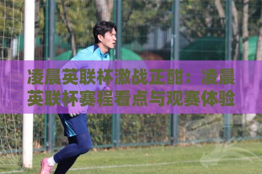 凌晨英联杯激战正酣：凌晨英联杯赛程看点与观赛体验全梳理，凌晨英联杯为何成为球迷深夜守候的理由🍘今日最新外围让球站频道英文解说反波胆链接受让视频