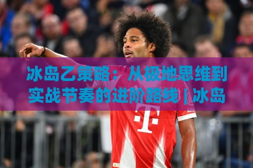 冰岛乙策略：从极地思维到实战节奏的进阶路线 | 冰岛乙策略(实战)如何重塑你的决策框架🍘线上十大最稳押球网推荐直播源不卡顿在线观看初盘全场回放