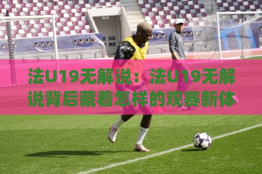 法U19无解说：法U19无解说背后藏着怎样的观赛新体验？(法U19无解说) 年轻球迷为何偏爱这种纯粹现场感🍘网上热门押球网登录交流攻略排名回放无广告