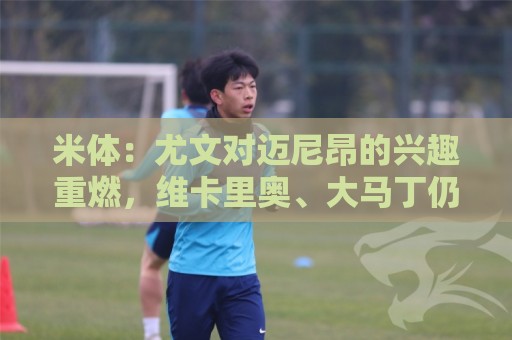 米体：尤文对迈尼昂的兴趣重燃，维卡里奥、大马丁仍是热门人选
